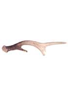 Faux Antler Drawer Handle - Right